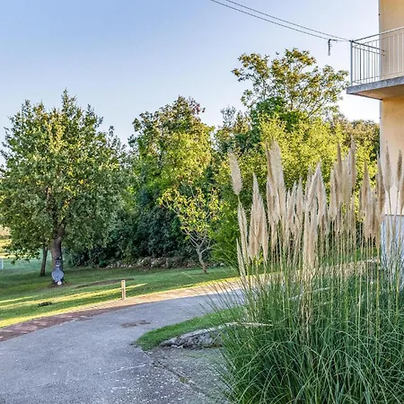 Amazing In With Wifi Apartament Banjole