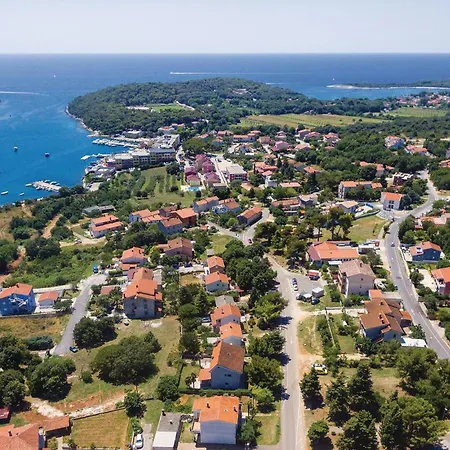 Amazing In With Wifi Apartament