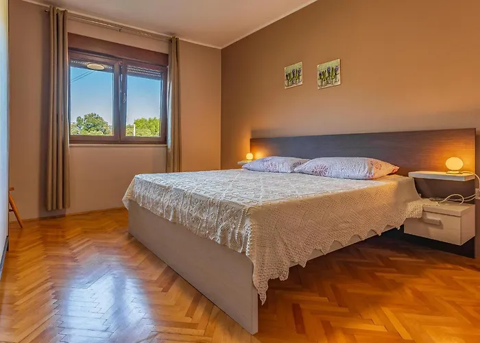 Amazing In With Wifi Apartament