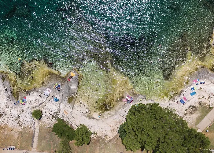 Amazing In With Wifi Apartament *