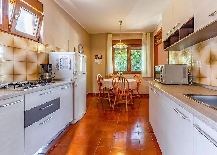 Amazing In With Wifi Apartament